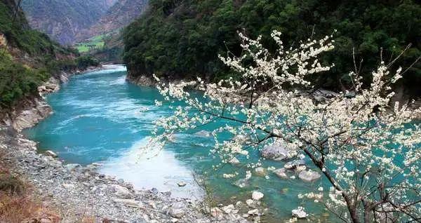 石油骚动